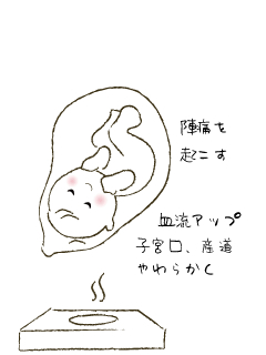 よもぎ庵のよもぎ蒸しで妊婦さんは陣痛を起こす。血流アップ、子宮口、産道が柔らかくなります
