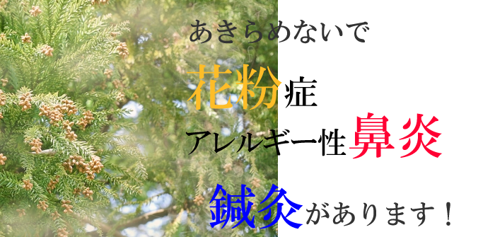 あきらめないで。花粉症、アレルギー性鼻炎を治すには鍼灸治療があります。